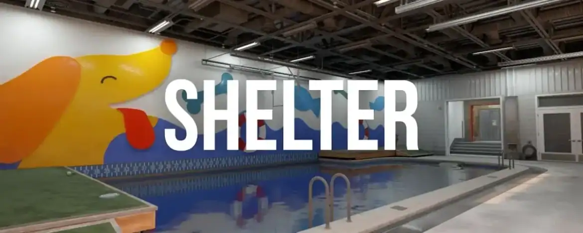 shelter cs2